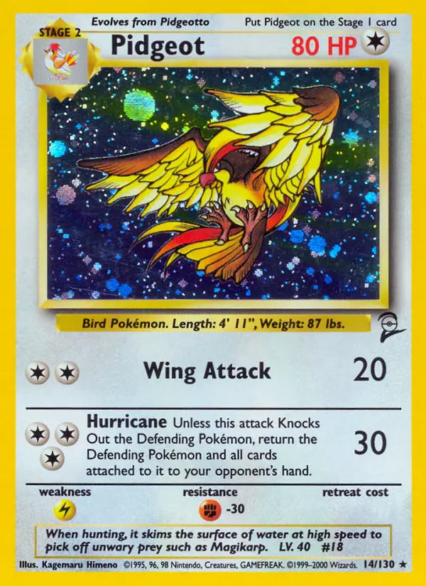 Pidgeot - 14