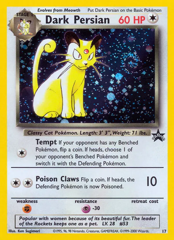 Dark Persian - 17