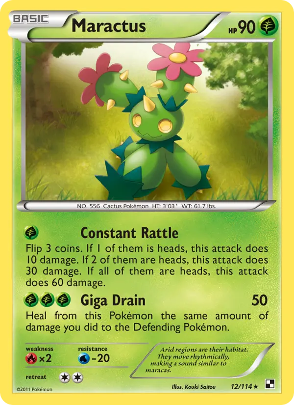 Maractus - 12