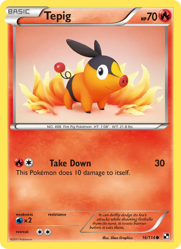 Tepig - 16