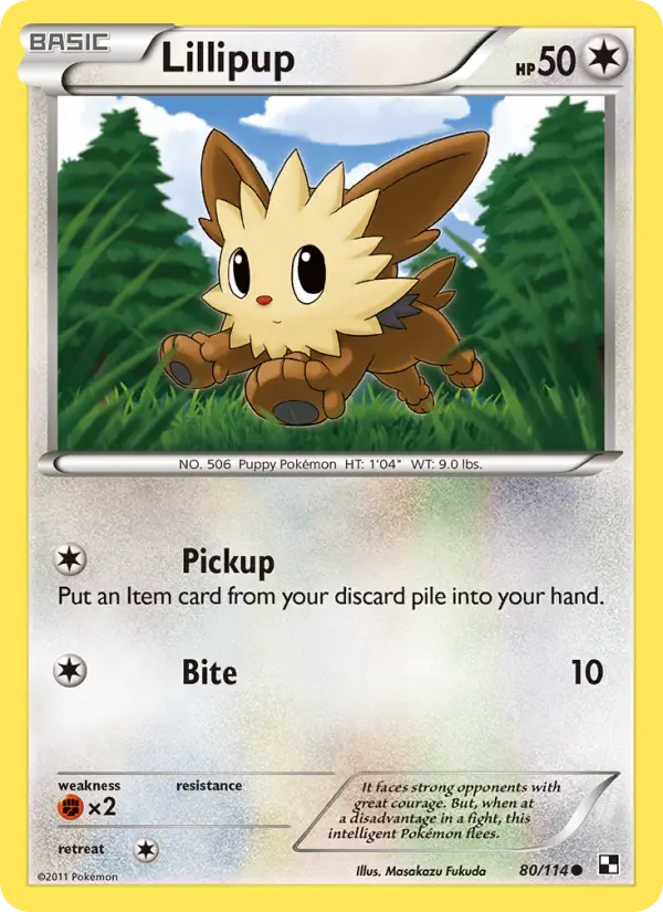 Lillipup - 80