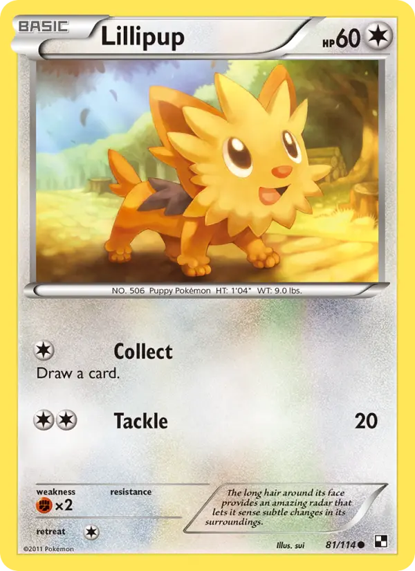 Lillipup - 81