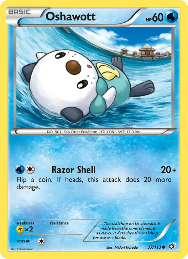 Oshawott - 37