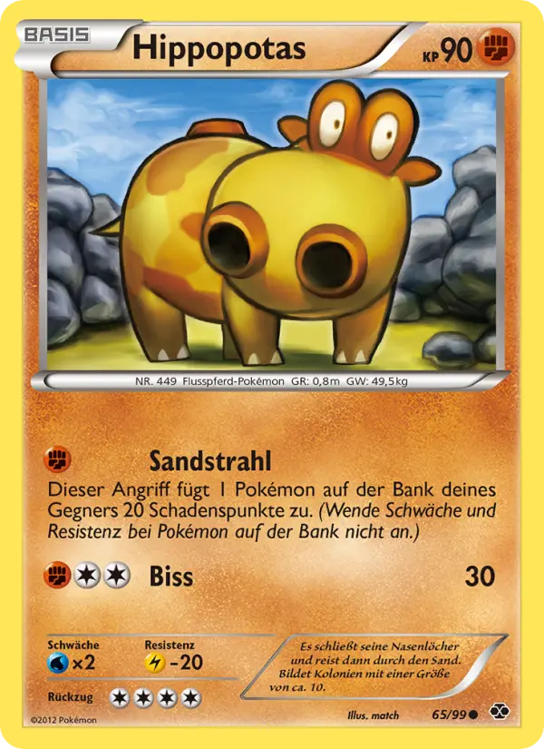 Hippopotas - 65