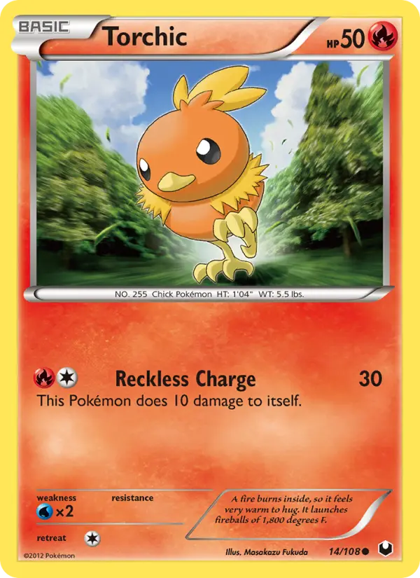 Torchic - 14