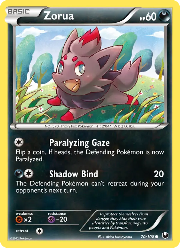 Zorua - 70