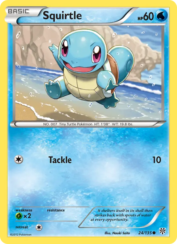 Squirtle - 24