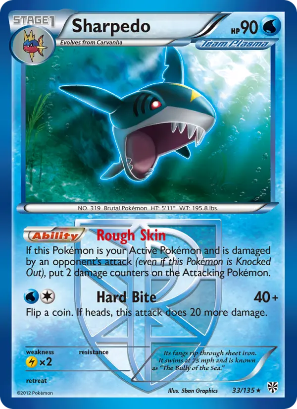 Sharpedo - 33