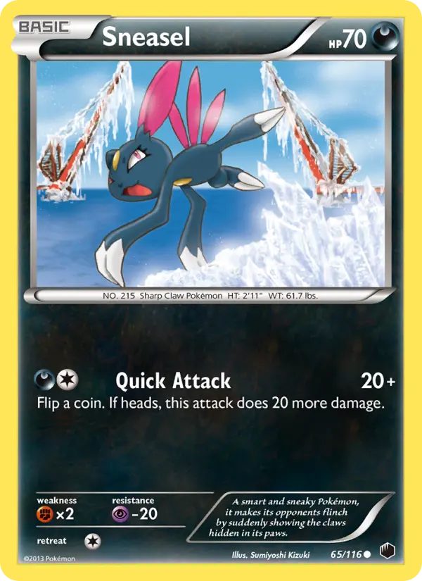 Sneasel - 65