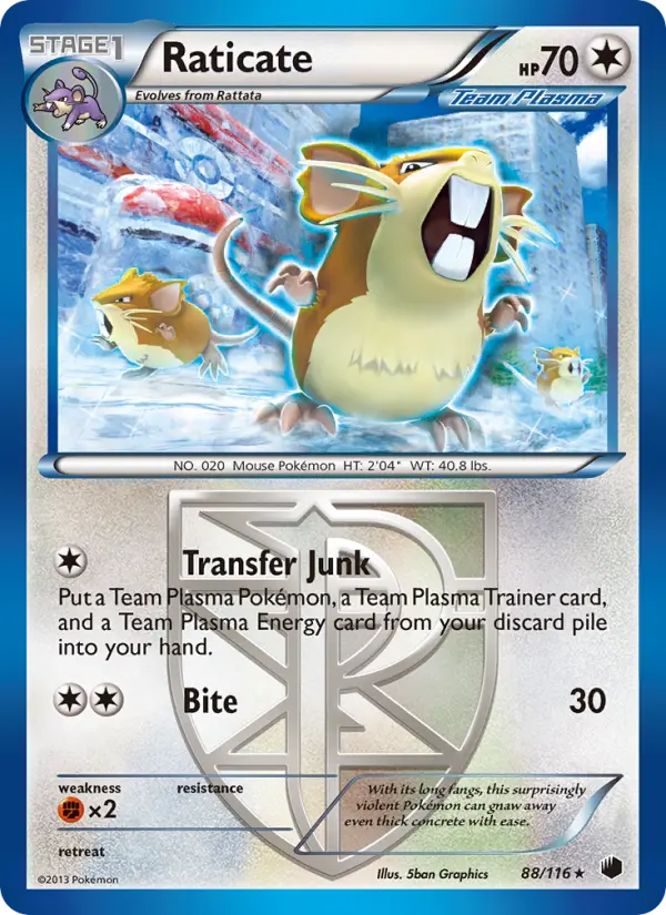 Raticate - 88