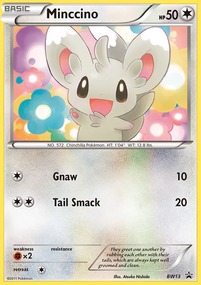 Minccino - BW13