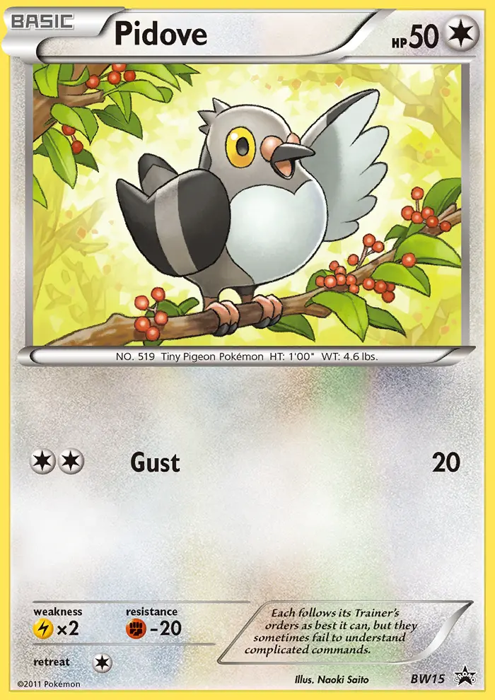 Pidove - BW15