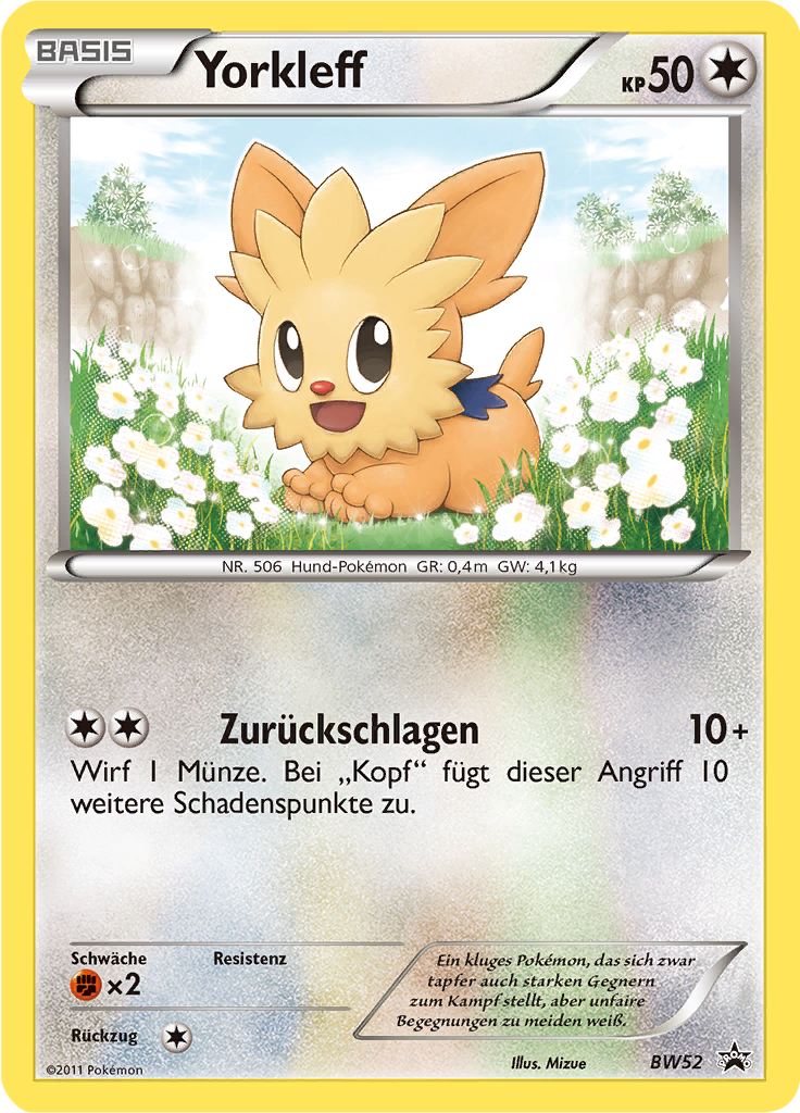 Lillipup - BW52