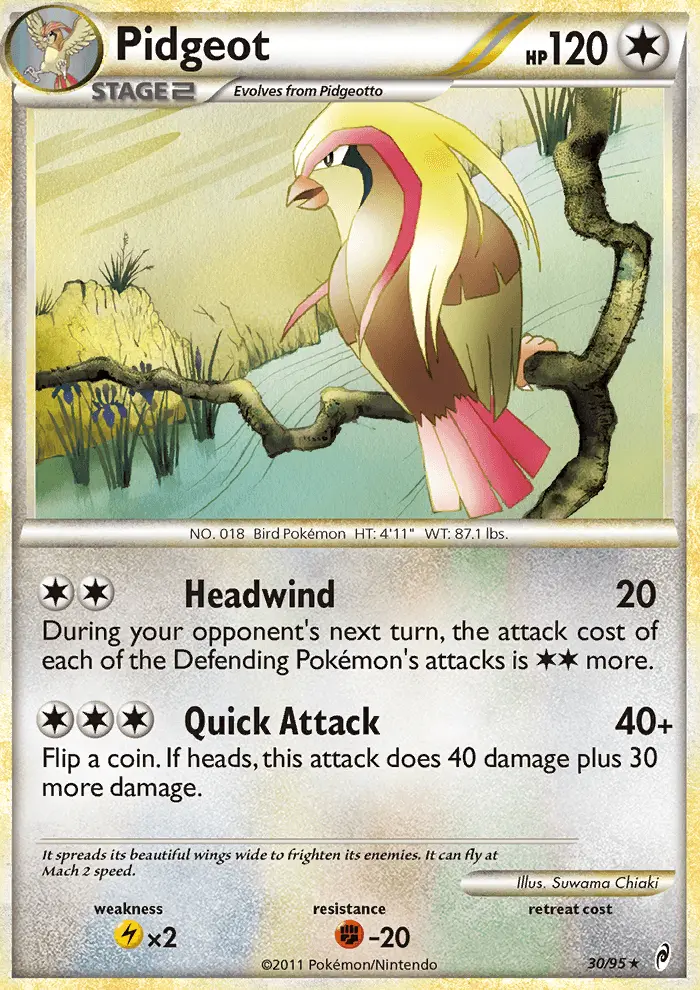 Pidgeot - 30