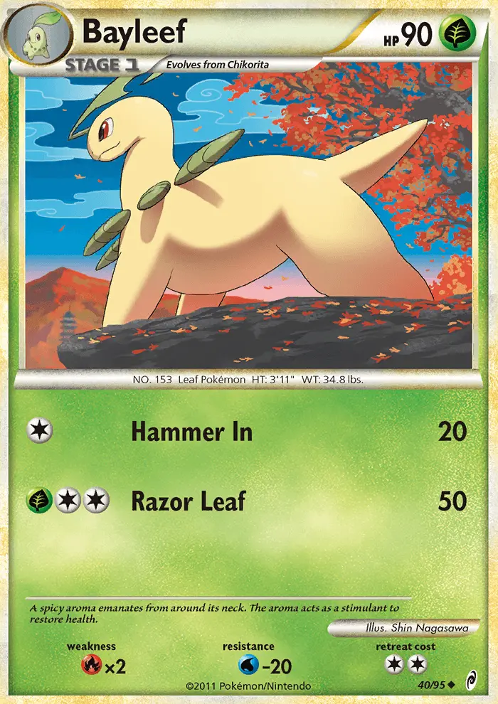 Bayleef - 40