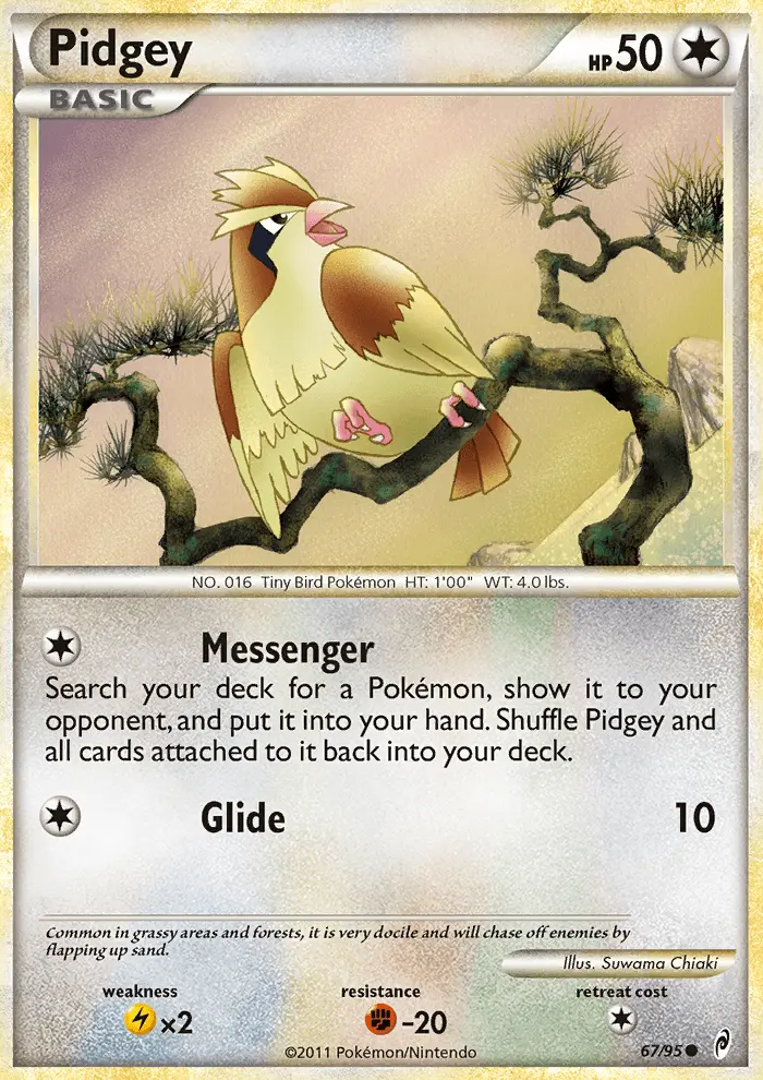 Pidgey - 67