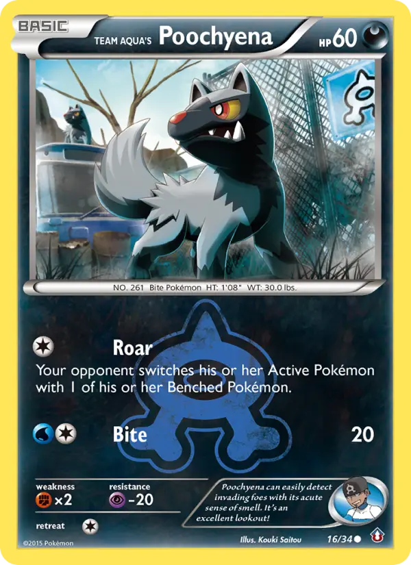 Team Aqua's Poochyena - 16