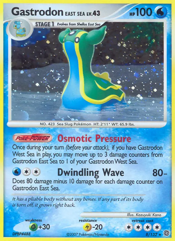 Gastrodon East Sea - 8