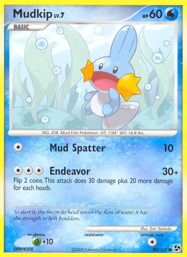 Mudkip - 80