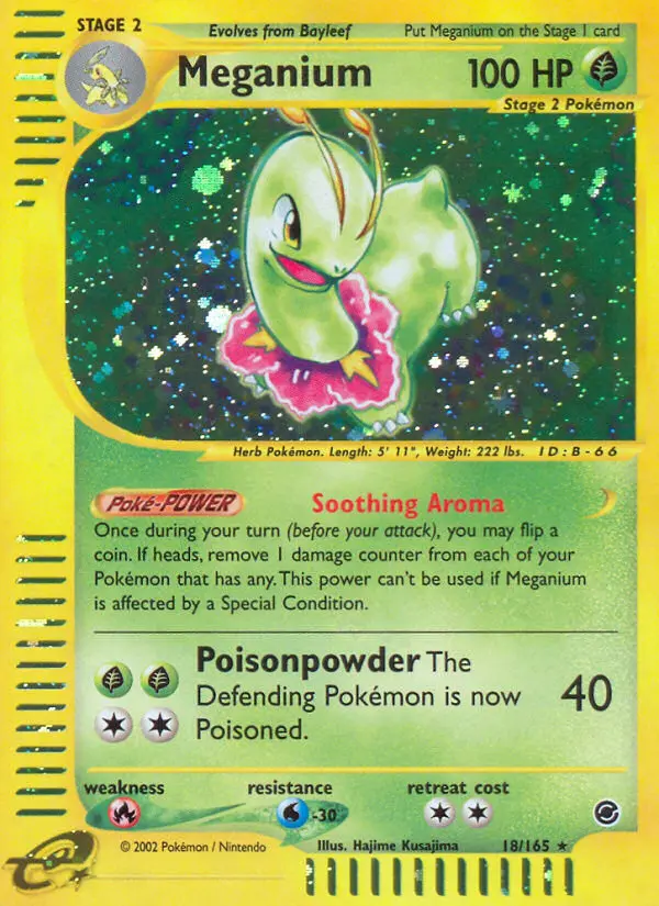 Meganium - 18
