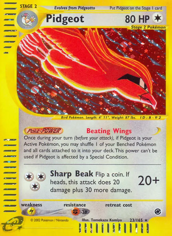Pidgeot - 23