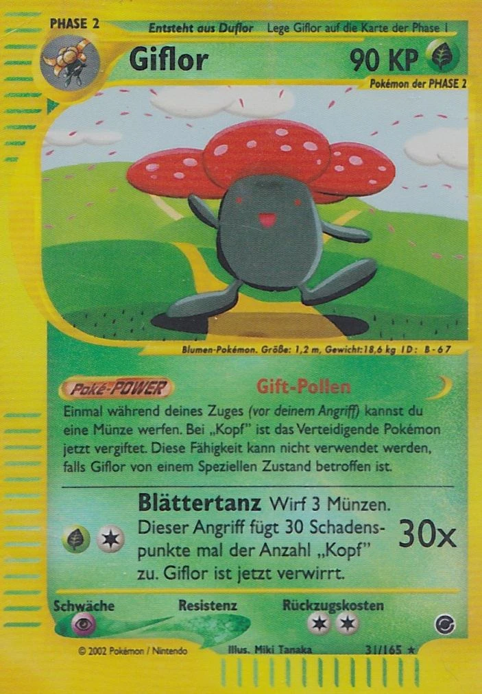 Giflor - 31