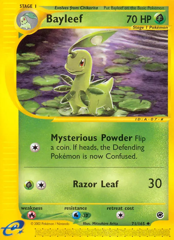 Bayleef - 71