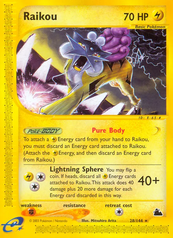 Raikou - 28