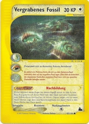 Vergrabenes Fossil - 47
