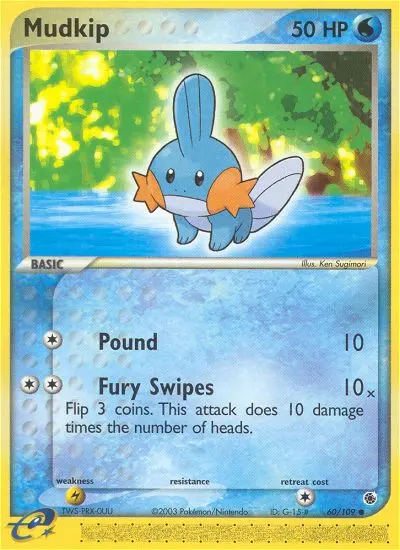 Mudkip - 60
