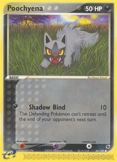 Poochyena - 65