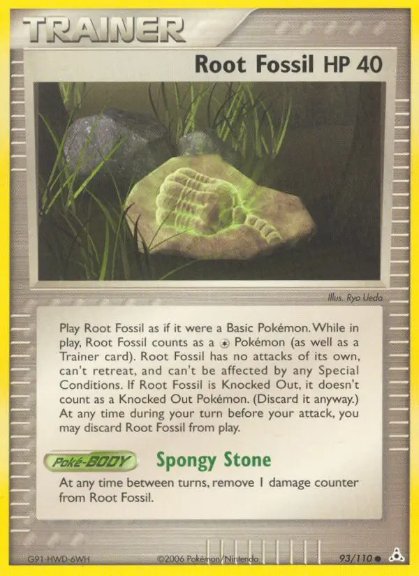 Root Fossil - 93