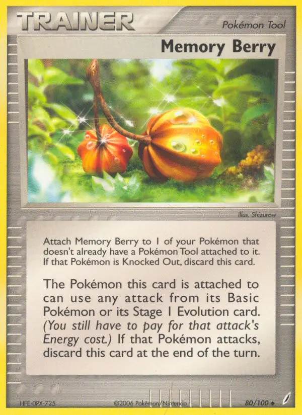 Memory Berry - 80