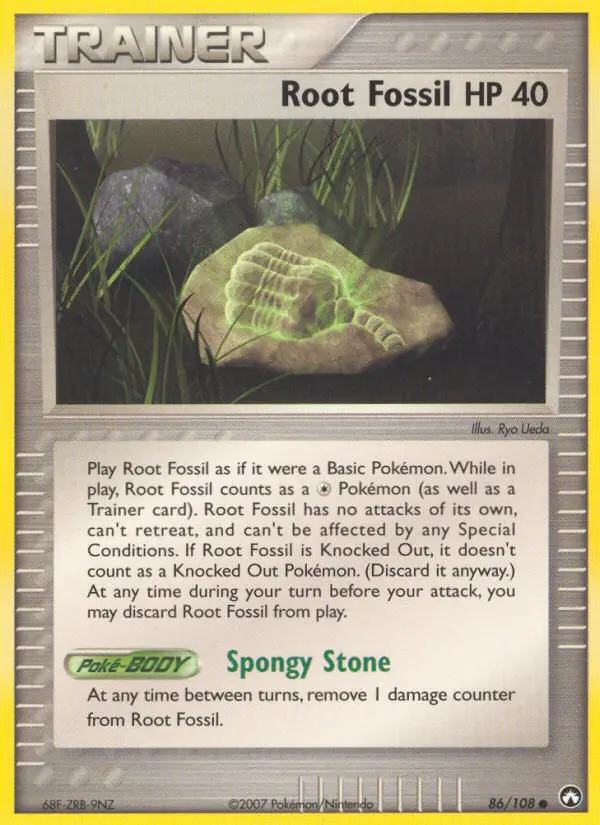 Root Fossil - 86