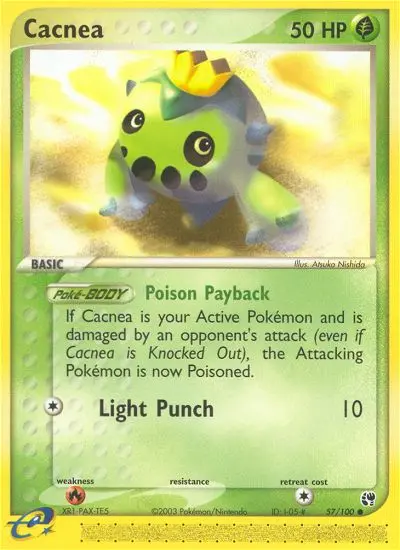 Cacnea - 57