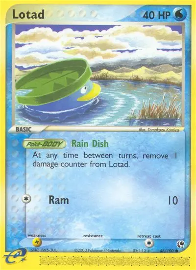 Lotad - 66