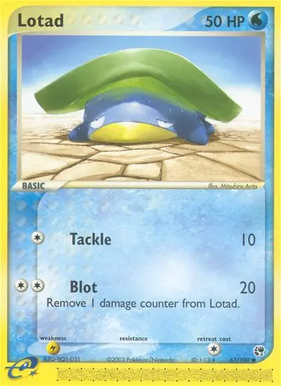 Lotad - 67