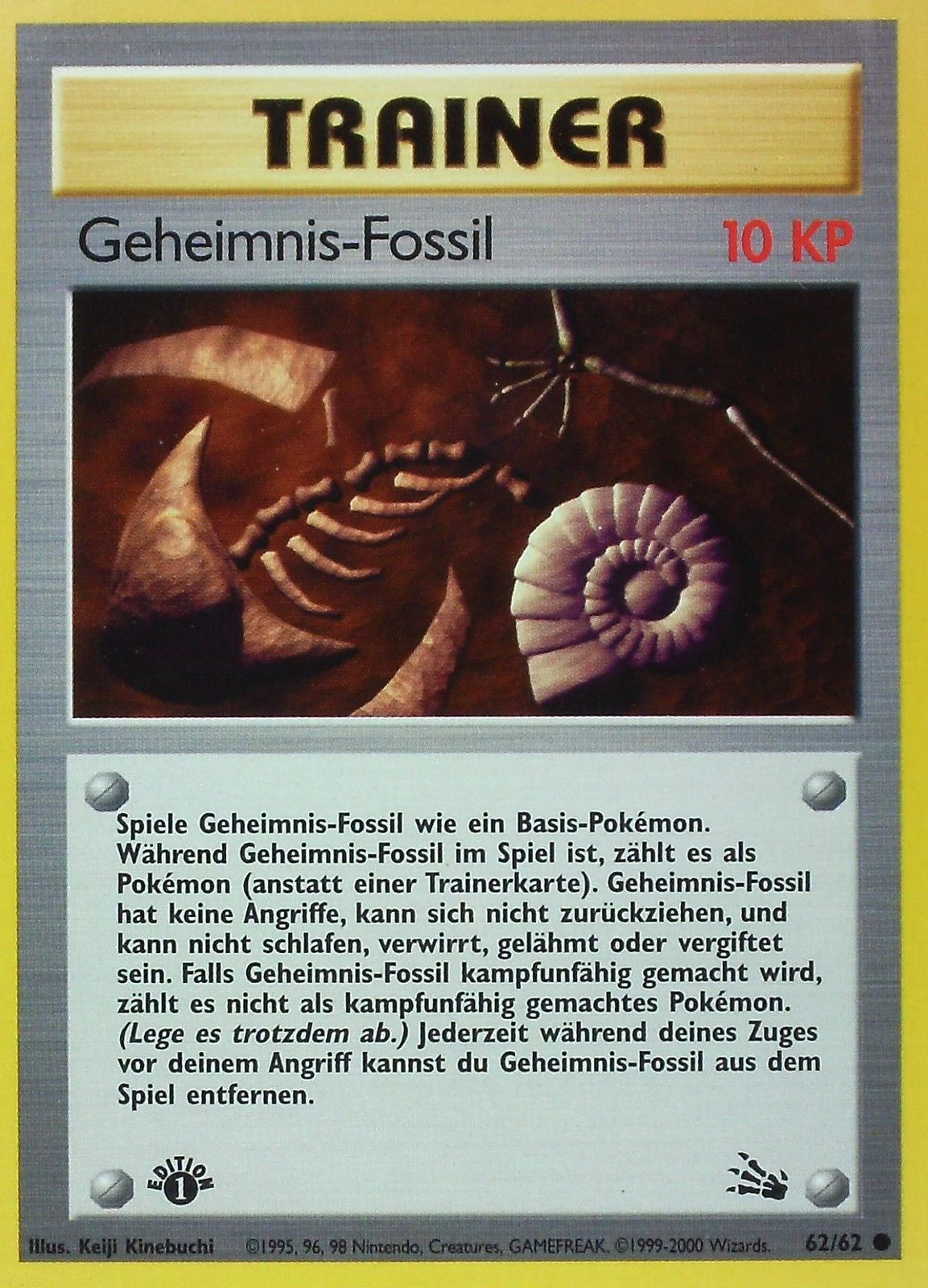 Geheimnis-Fossil - 91