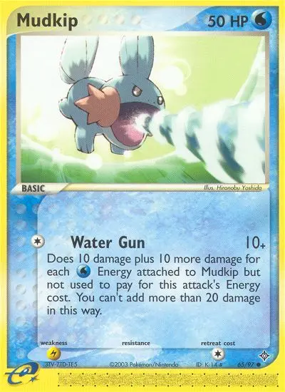 Mudkip - 65