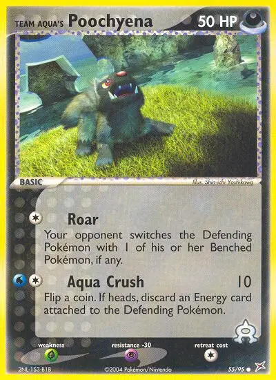Team Aqua's Poochyena - 55