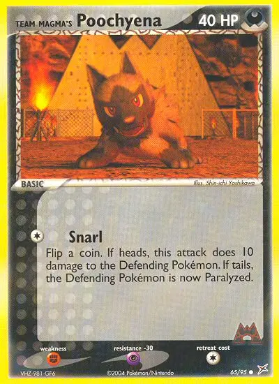 Team Magma's Poochyena - 65