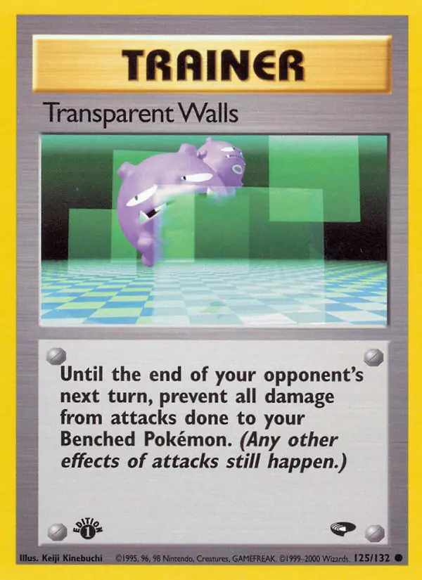 Transparent Walls - 125