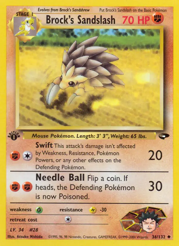 Brock's Sandslash - 36