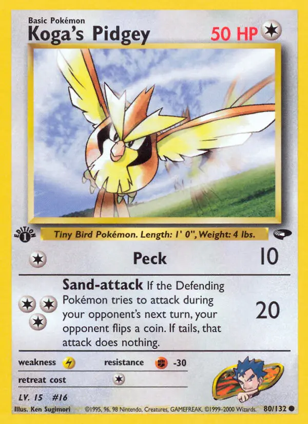 Koga's Pidgey - 80