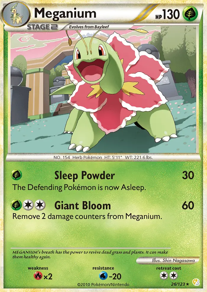 Meganium - 26