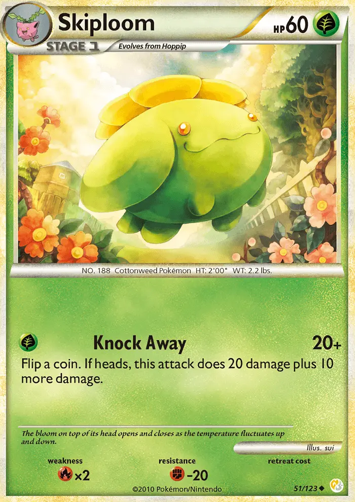 Skiploom - 51