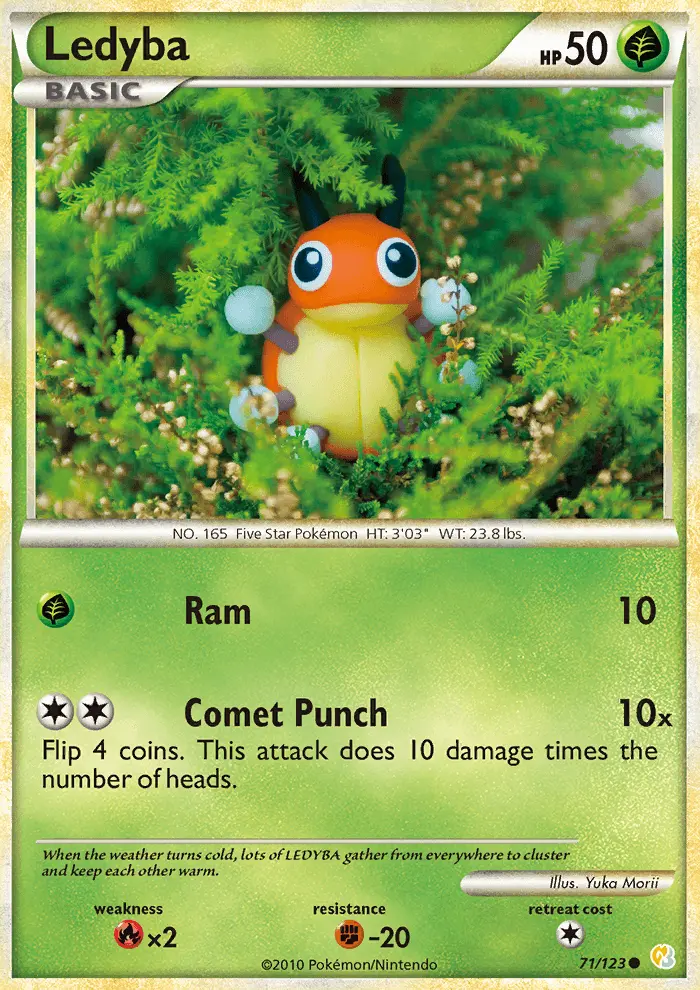 Ledyba - 71