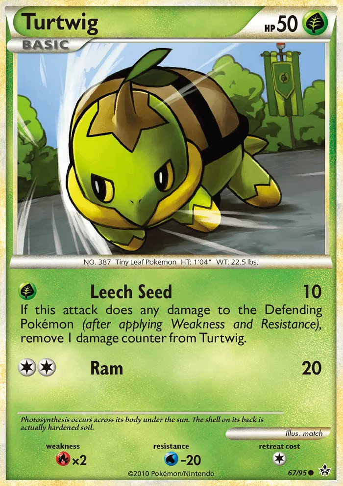 Turtwig - 67