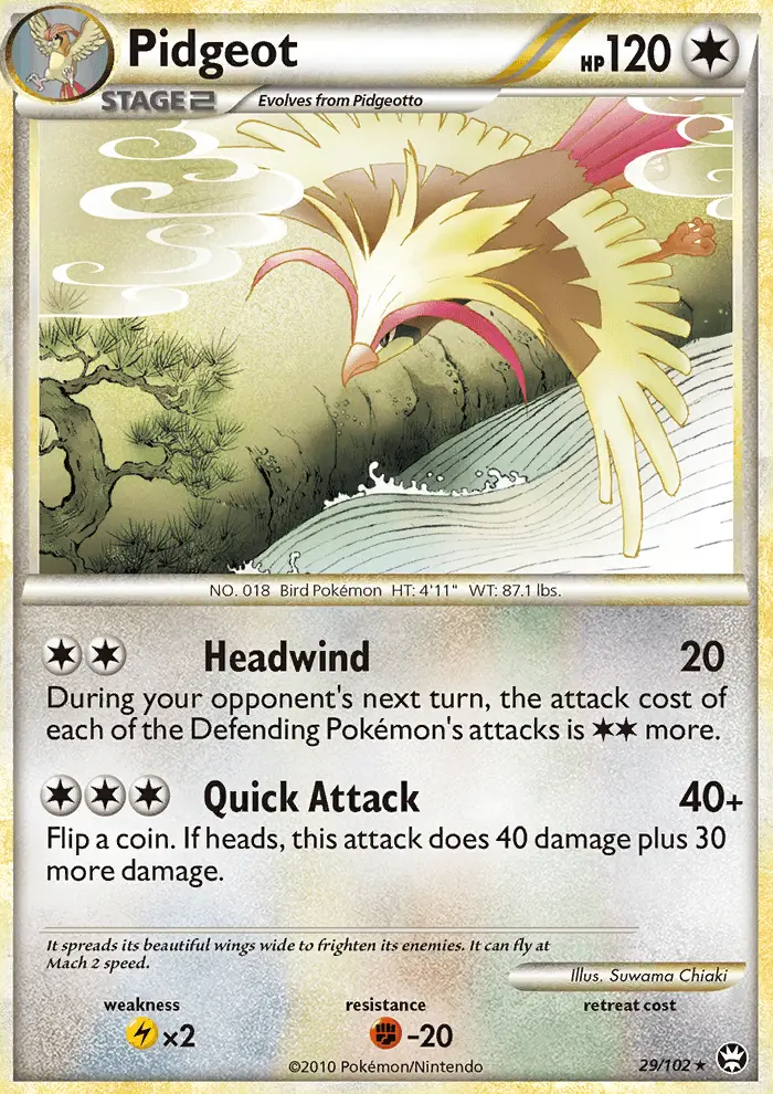 Pidgeot - 29