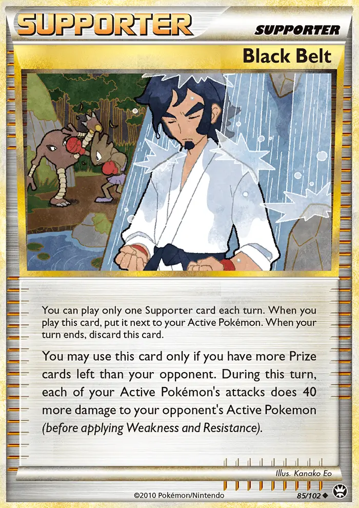 Black Belt - 85
